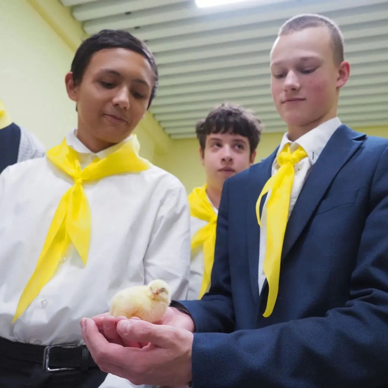 В Дзержинском округе открылся школьный агрокласс по птицеводству