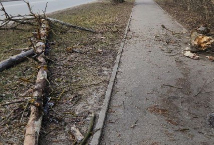 � ������ ���������� ������ �������� ������ �� ����� ���������