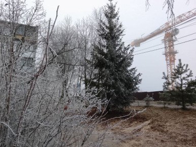 ���� ��������� �����: ��������� ������ ���� ������ � �����������