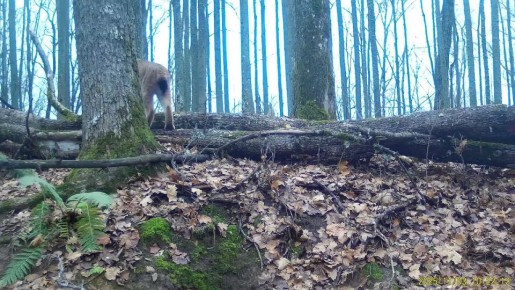 ���� � ����������� "��������� ������"