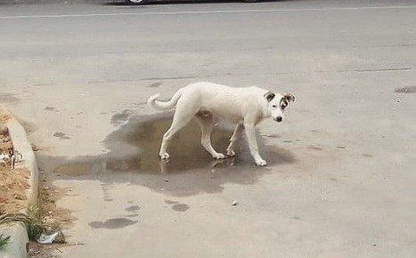 � ��������� ������� ����������� ����������� �������� �����