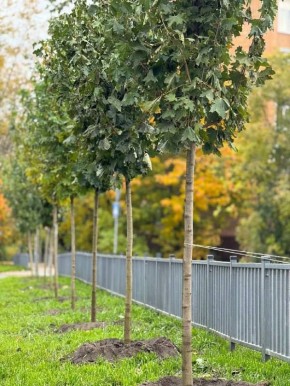 �� ���������� ������ � 2026 ���� �������� 45 ���������