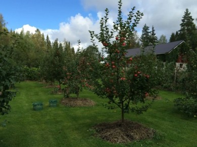 ������ � ����: ��� ����� ������ ������� � ��������� ����� ����