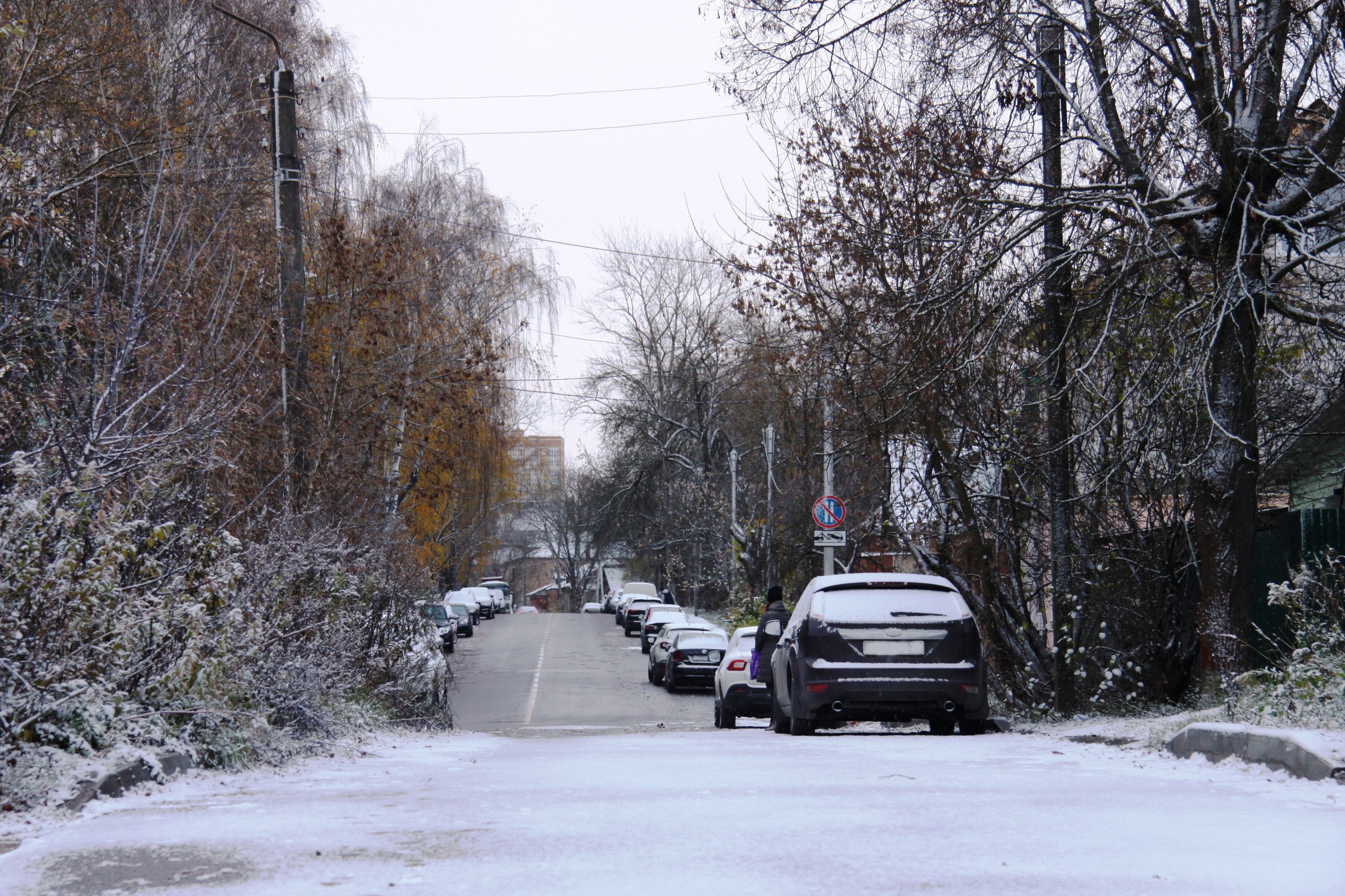 Вторник станет самым холодным днем предпраздничной недели