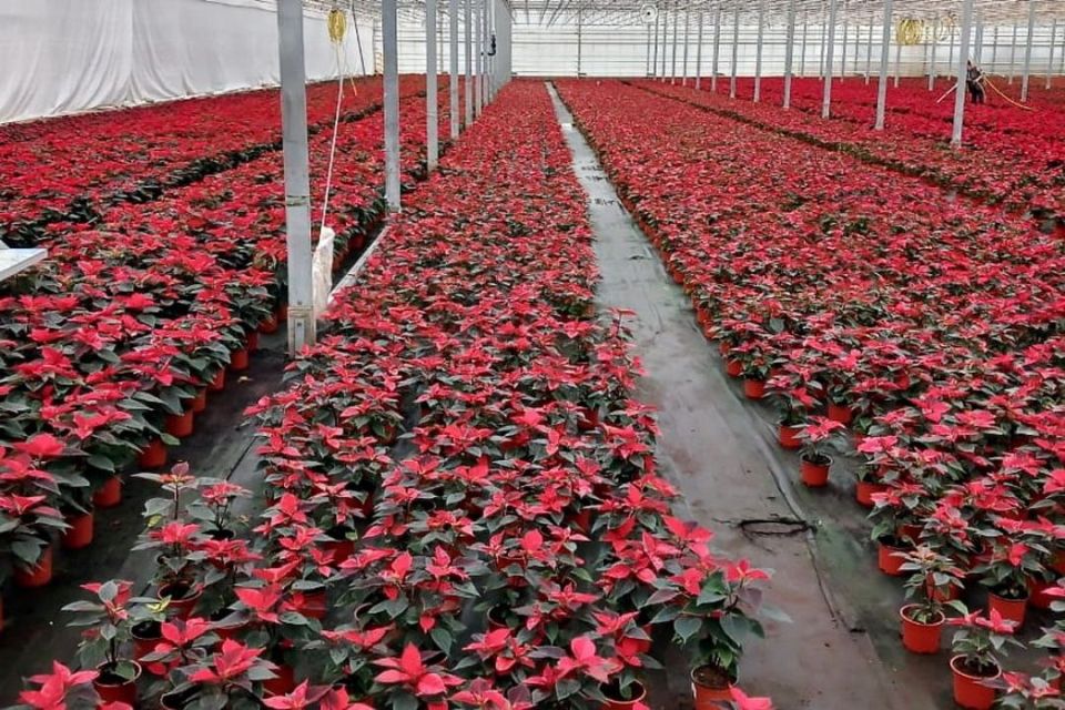 ��������� ������� �������������� ���� ����� ��������������� �����