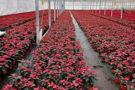 ��������� ������� �������������� ���� ����� ��������������� �����