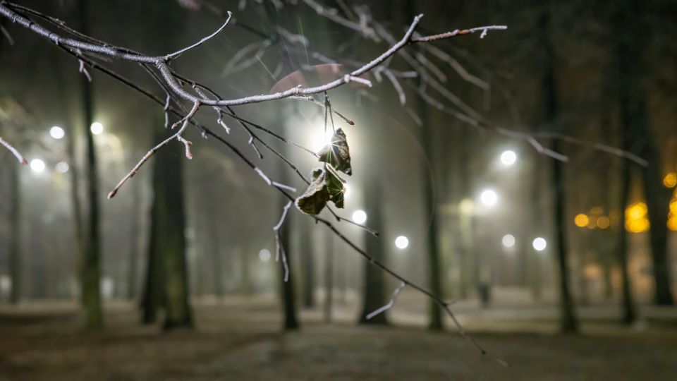 � ������ �������� �������� �����