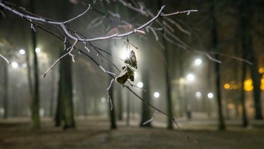 В Калуге появится Семейный сквер