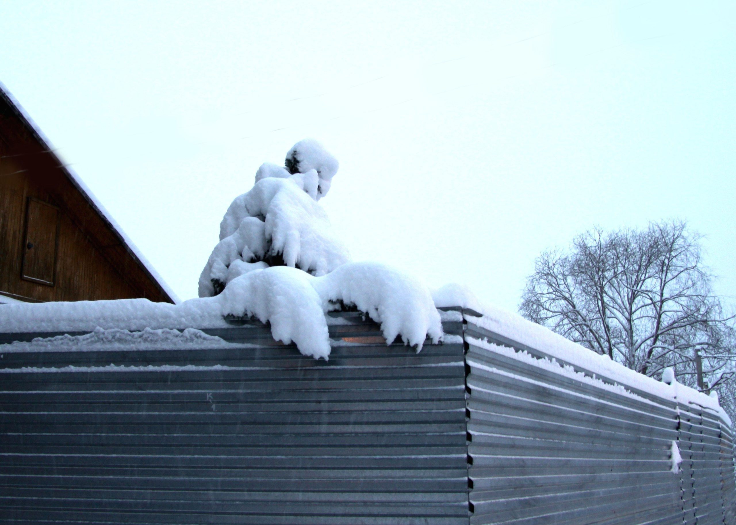 На Калужскую область надвигается мощный снежный циклон