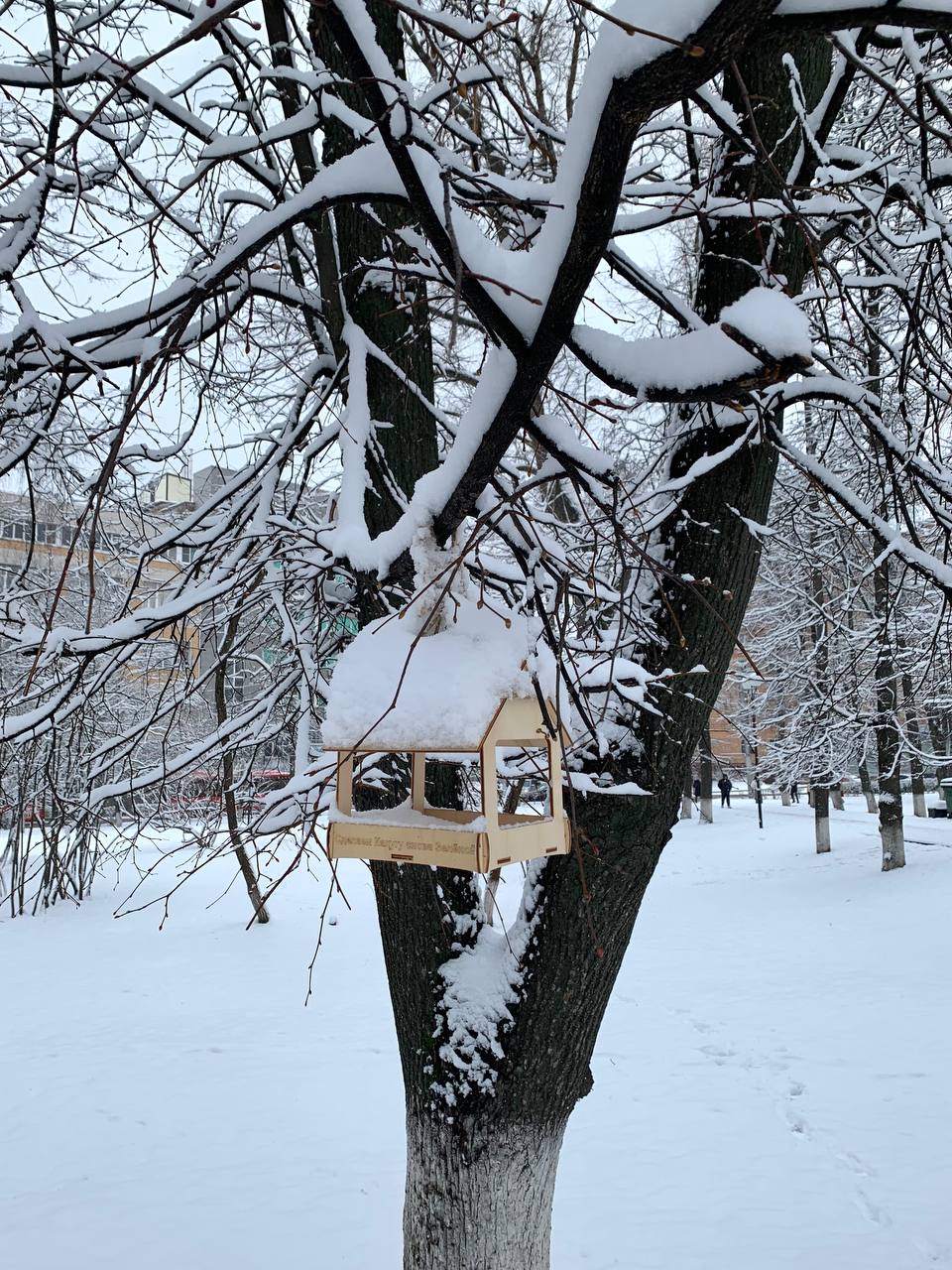 На 6°C темлее, чем вчера. Сегодня в Калуге прогнозируют облачную погоду и гололедицу