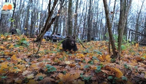 ��������� ��� ���������� ��������� ��������� � ��������� ���