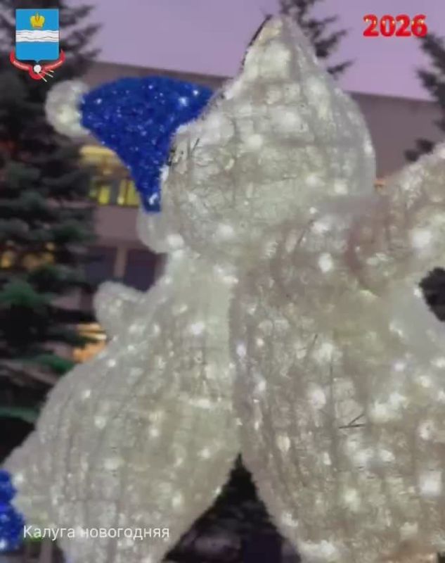 Калуга зажгла новогодние огни!