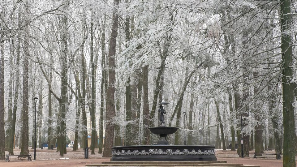 ����� �� ����� 15 �������� ������������ ��������� � ���������� ����