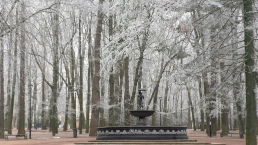 Мороз до минус 15 градусов прогнозируют синоптики в новогоднюю ночь