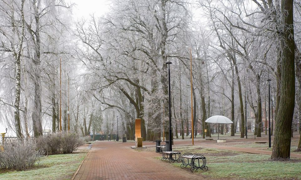 � ��������� ������� ���� ���������