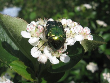 ������: ������������ ������ � ��������� ����������