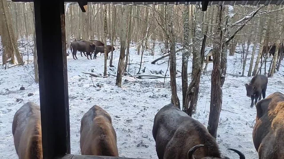 ������� ����� ������!. ��� ������ �������� ��������� �������� ������������� � ����������� ���������� ������