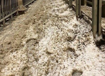 � ������ ������ ������ ����� � ���������� ���� ������������ �����