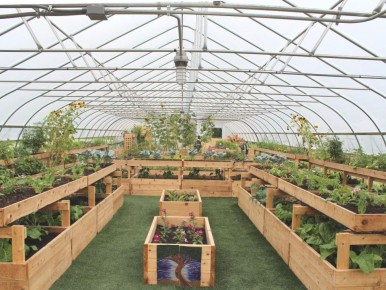 ����������� ������: ��� ��� ������ ������ � �����������