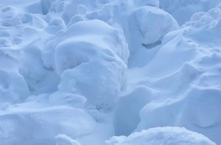 � ������ ���� ����������� ������ ���������� �������������