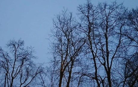 � ��������� ������� ����� �����������