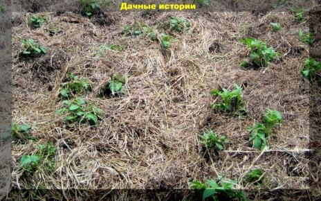 �������������: ������� ������ ��� ������ ����