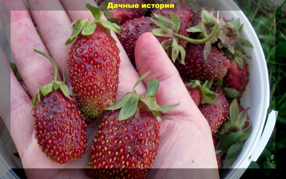 ����������� � ����������� � ��������� ��������� ��� ���������!