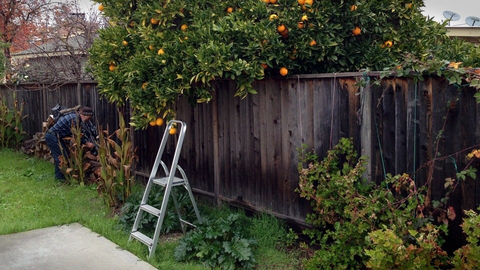 ��� ������, ���� ����� ��� ������ �������� ���� ������� � �����?