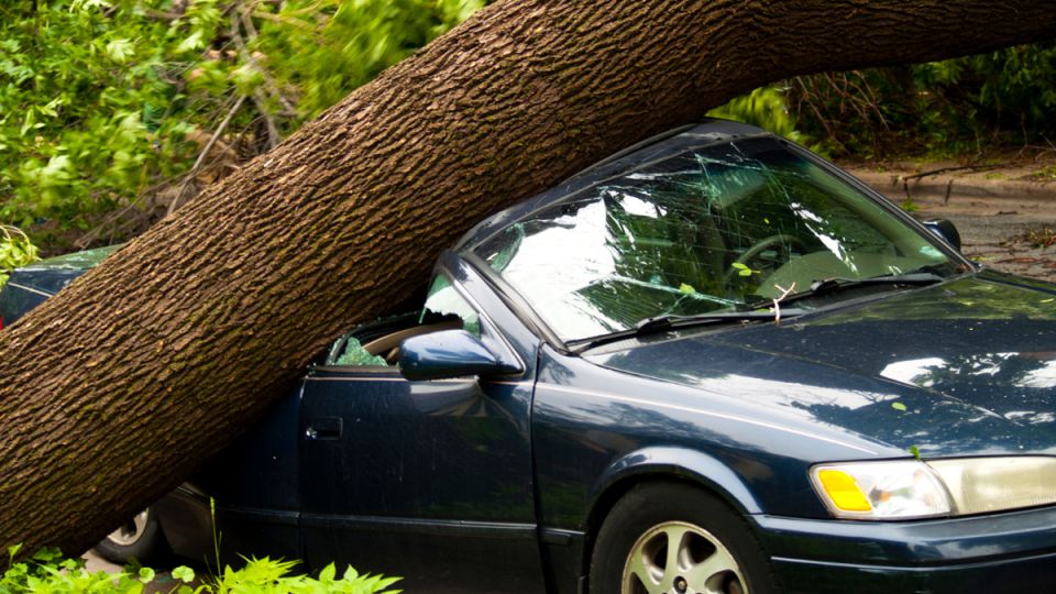 ����������� ������ ��� ������ ����������