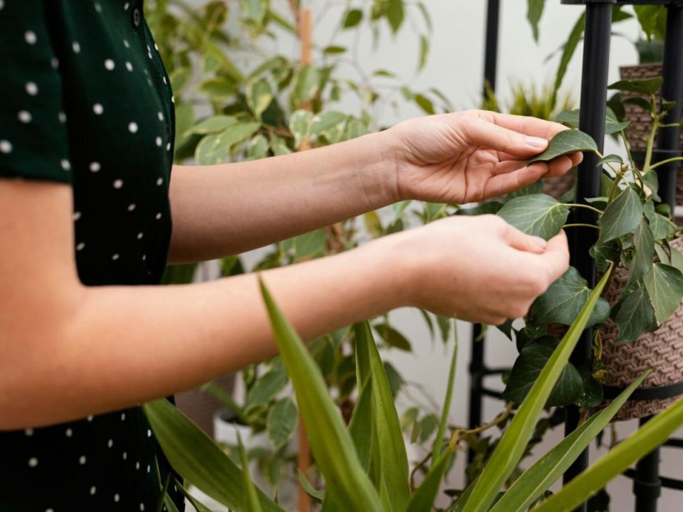 ������� ���� � ���������� �������: �������� � ����� ���������