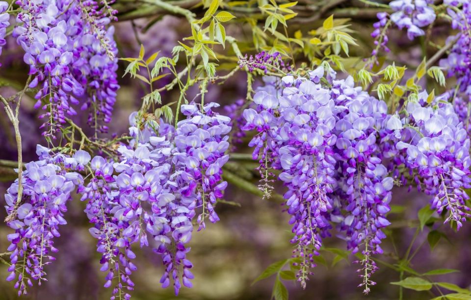 ��� ���������� ��� � ��������� ������: ������� ��������� ����� �� ���������