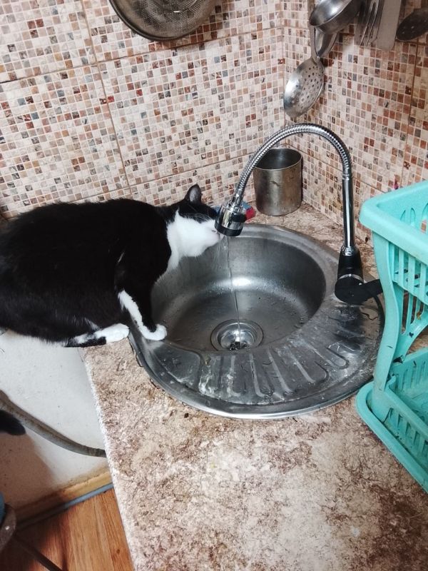 ������ ���� �� ����������� �������� ��� ����