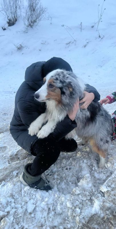 ������� �������: ������ �����! �������� ������� ����, ��� �����������