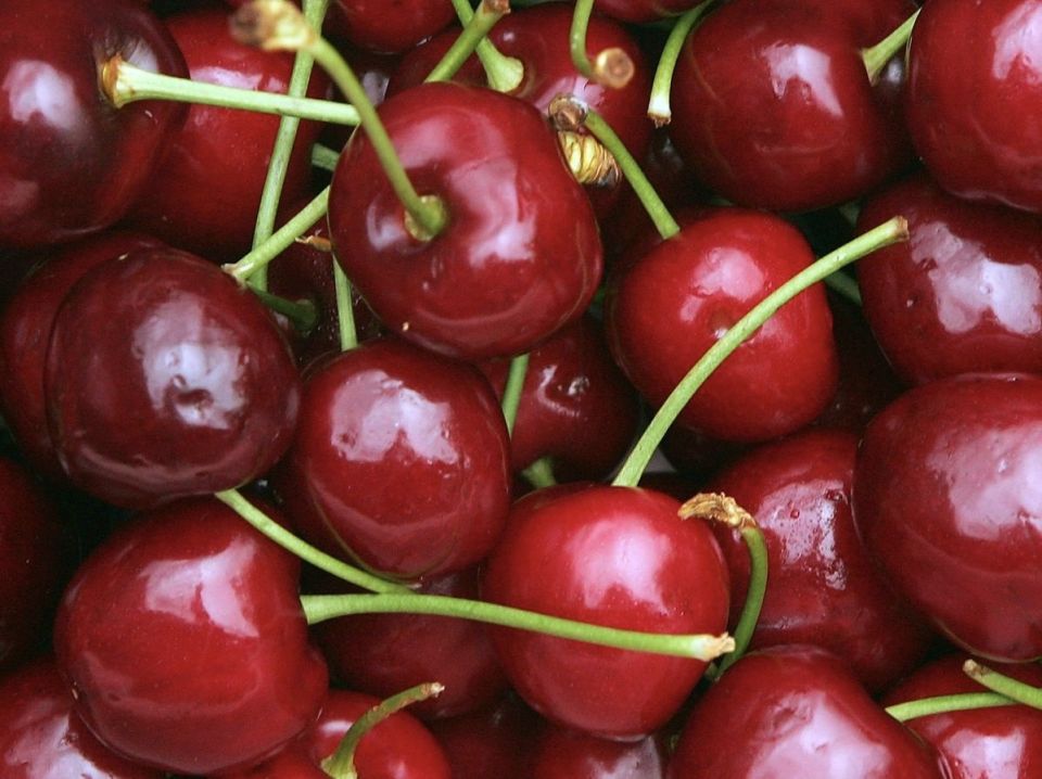 �����: ������, ����� � ����� �� ������ ����