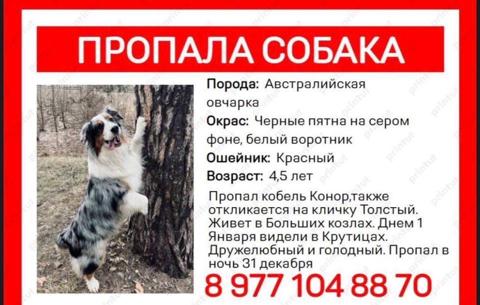 ������� �������: ��������. ���������� ������