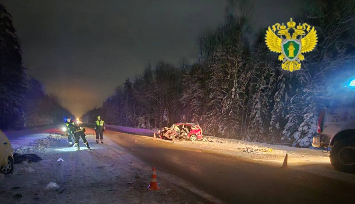 В Калужской области возбудили уголовное дело после гибели женщины и ребёнка в ДТП В Калужской области возбудили уголовное дело после гибели женщины и ребёнка в ДТП
