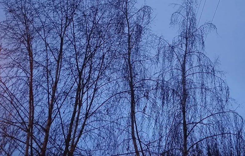 ������� ������������ � ������ ����������� ���������