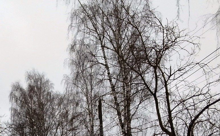 ��� ��������� �������� ���� ��� ���� �����������