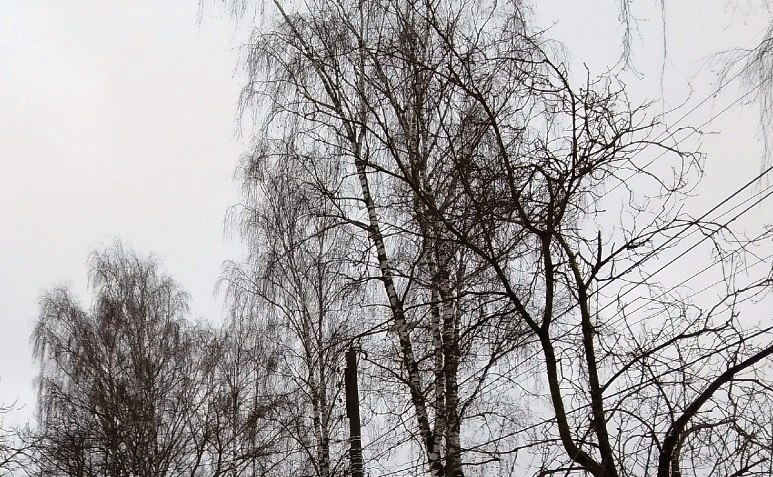 Над Калужской областью сбит еще один беспилотник