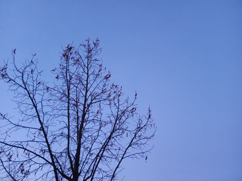 ��� ���������� 16 ������ ��� ��������� ��������