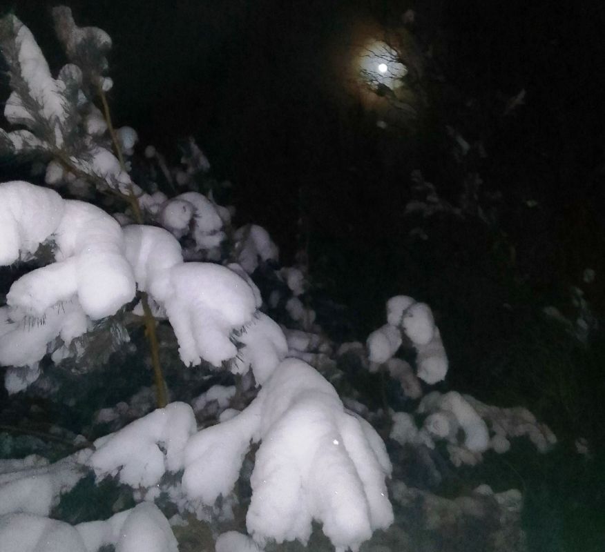 ��� �������� ����� 11 ���������� ������������� � ���� ������� �����