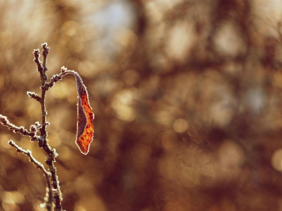 ��� ������� ����� ����������� ����: ������� �������������� ��� ����������� ���