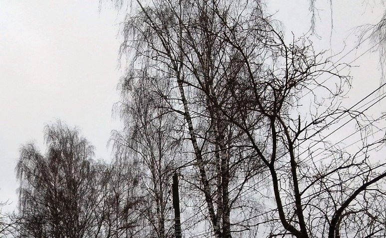 ���� ��� �������� ��������� ����� �� ��������� �������