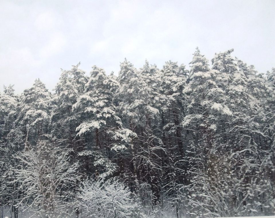 ��� ����� ����������� ������������� ��� �������� ��������� �������