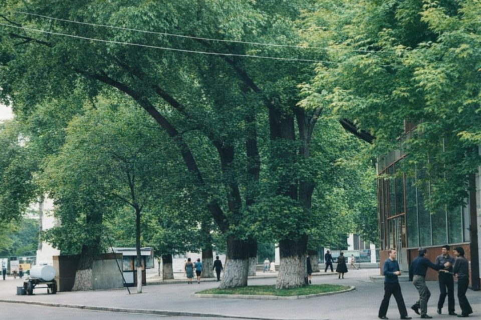 ����� ������� ���� ��������