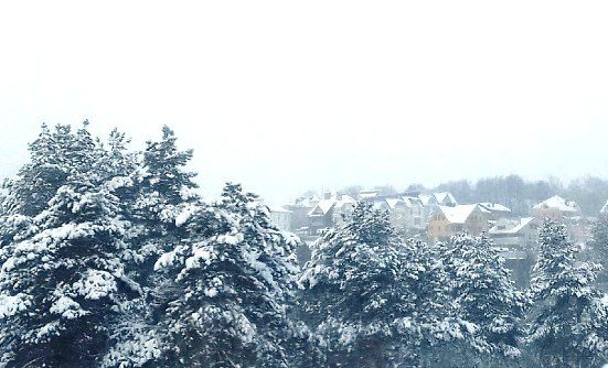 � ��������� ������� ������������ ��������� �����������