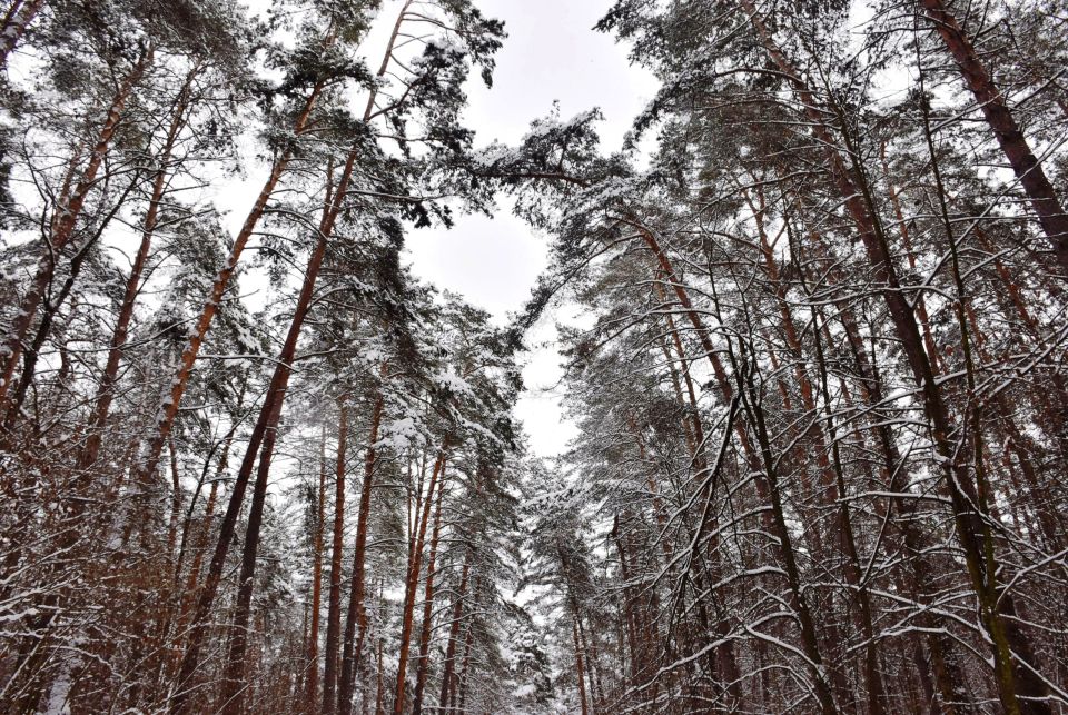 ������ �� ����� 25 � ������ ������ � ��������� �������