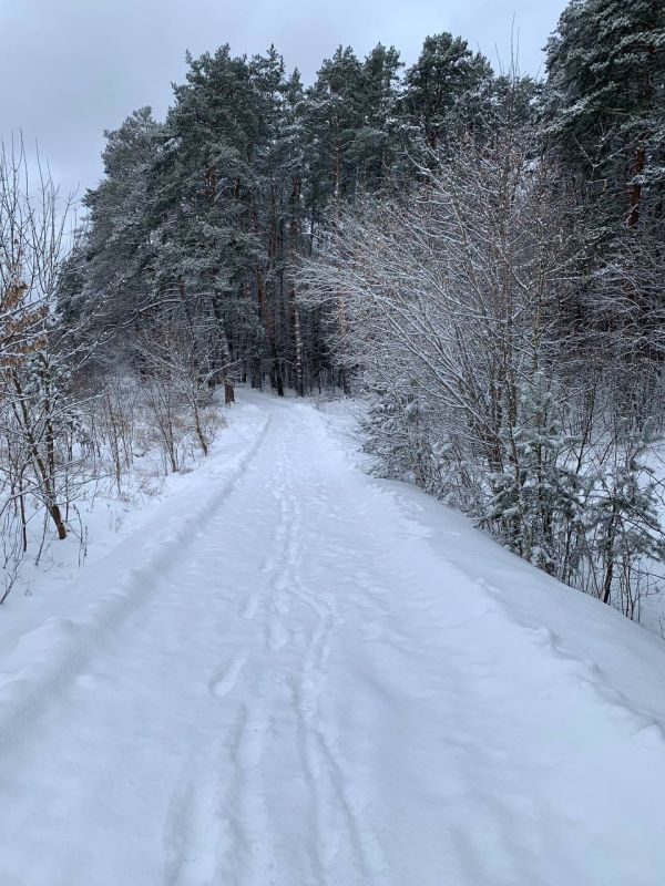 ������� � ������ ������������ ���������� ����������, ��� �������, ����������. ����������� ������� ���� ����� -5�C�-4�C, ����� -8�C