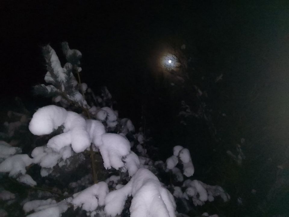 �������� ����� ����-��������� ����� ��������� ������� � ������ ���� ��������� ����