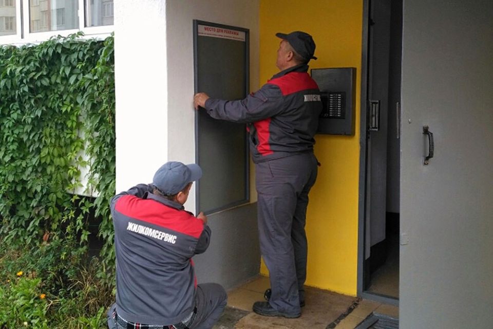 ����������� ��������: ��� ������ ��������� ��� �������?